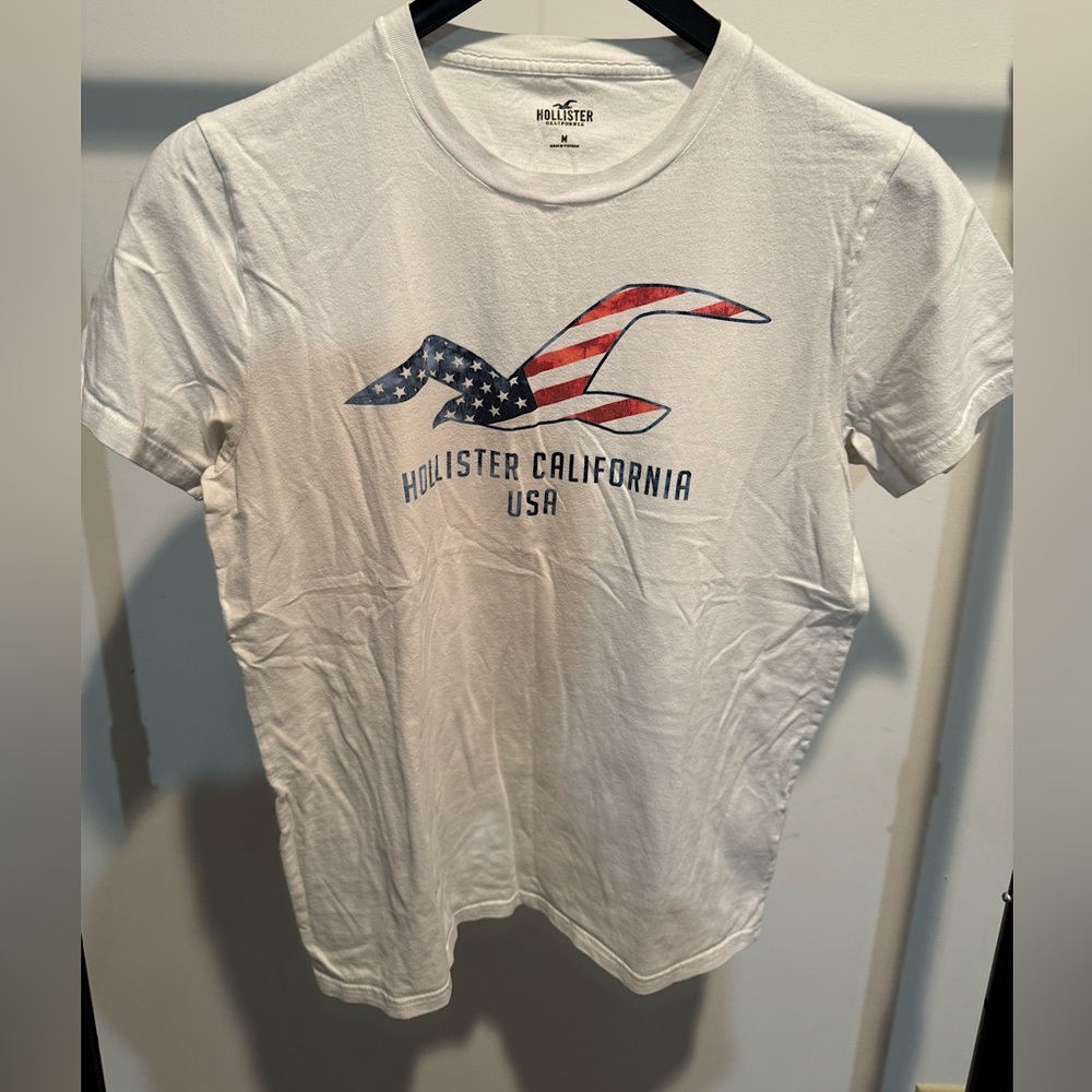 Hollister’s Mens Medium T-Shirt